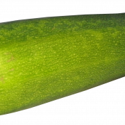 Zucchini Summer Squash Png HD Immagine