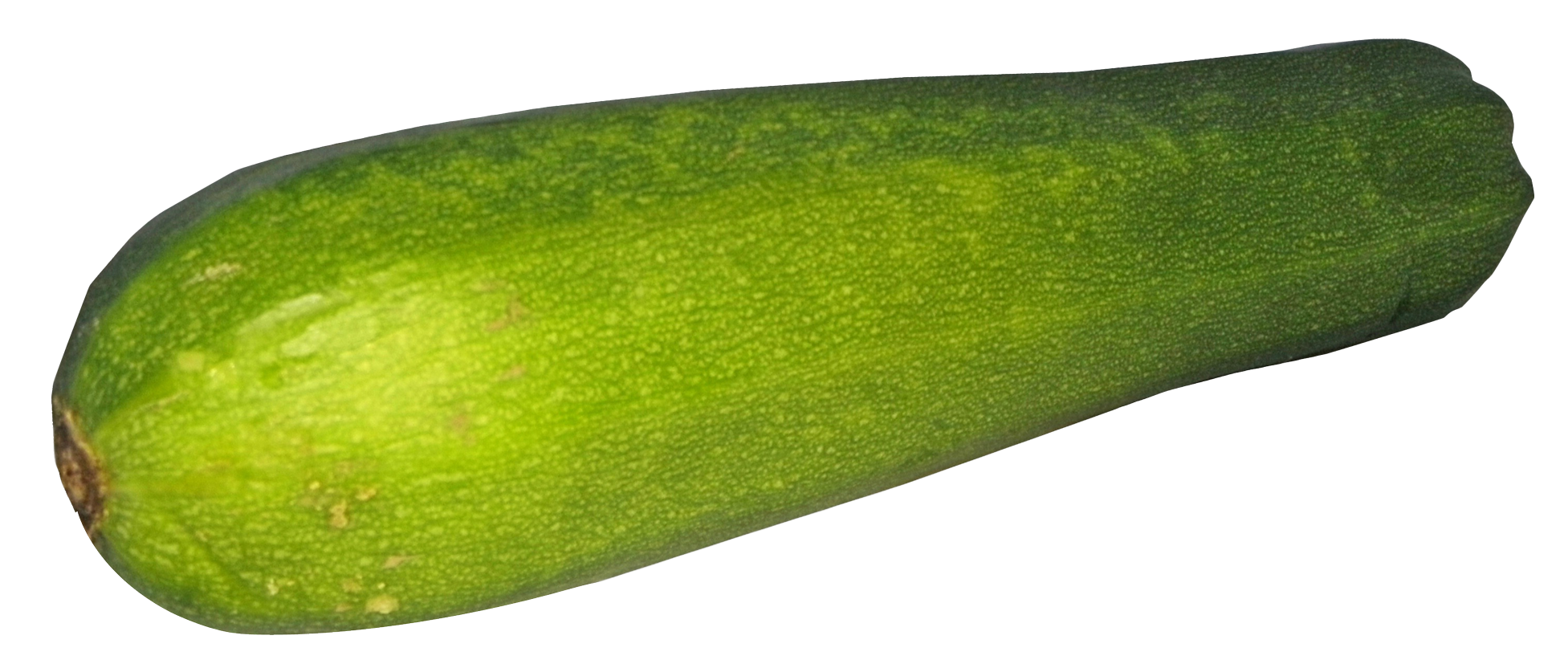 Zucchini Summer Squash PNG HD Image