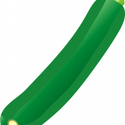Courgette zomerpompoen png afbeelding HD