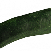 Zucchini Summer Squash PNG Images