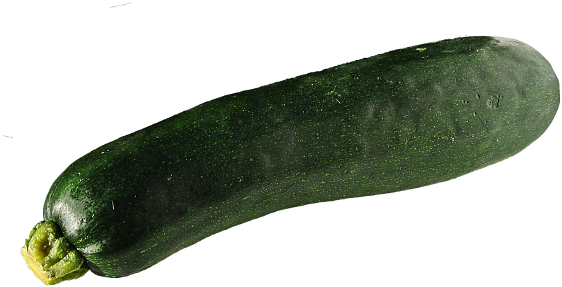 Zucchini Summer Squash PNG Images