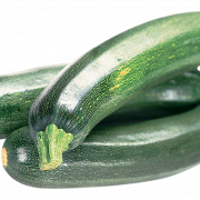 Courgette zomerpompoen png pic