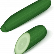 Zucchini summer squash transparent
