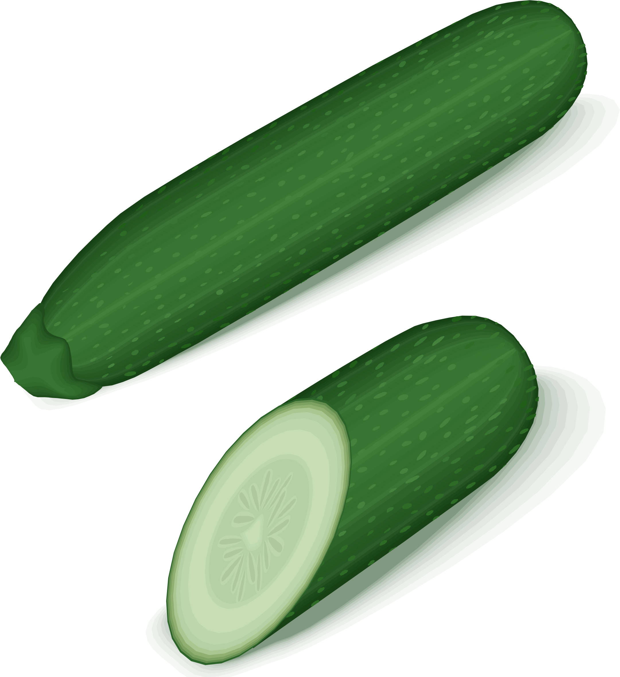 Zucchini Summer Squash Transparent