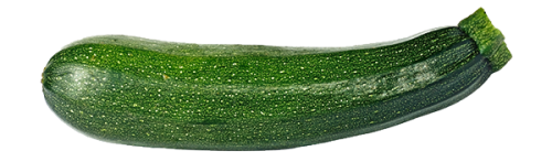 Zucchini Sommerkürbis