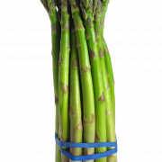 Asparagus No Background
