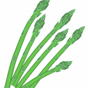 Asparagus PNG Clipart