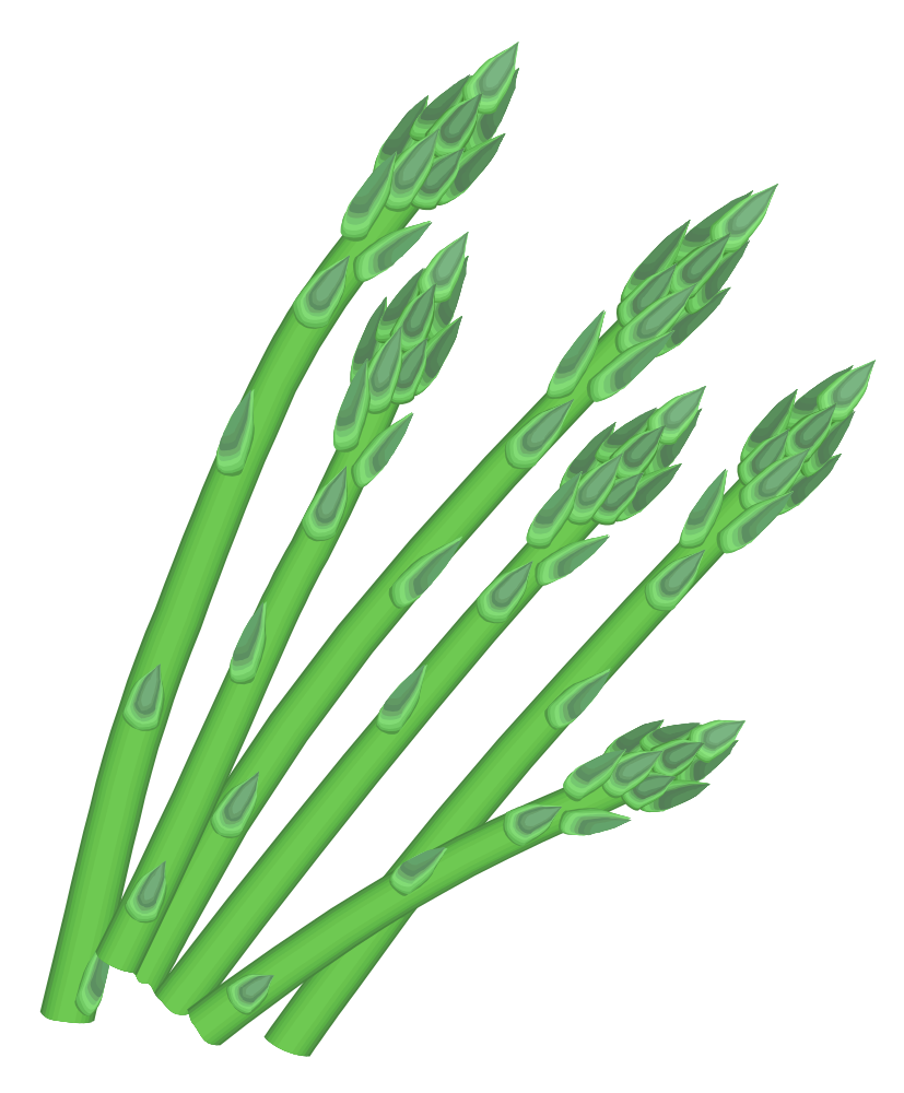 Asparagus PNG Clipart