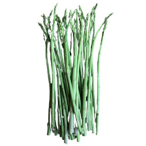Asparagus Transparent