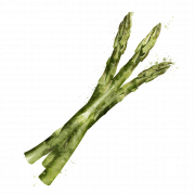 Asparagus Vegetable Background PNG