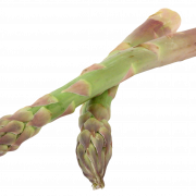 Arquivo PNG de vegetais de aspargos