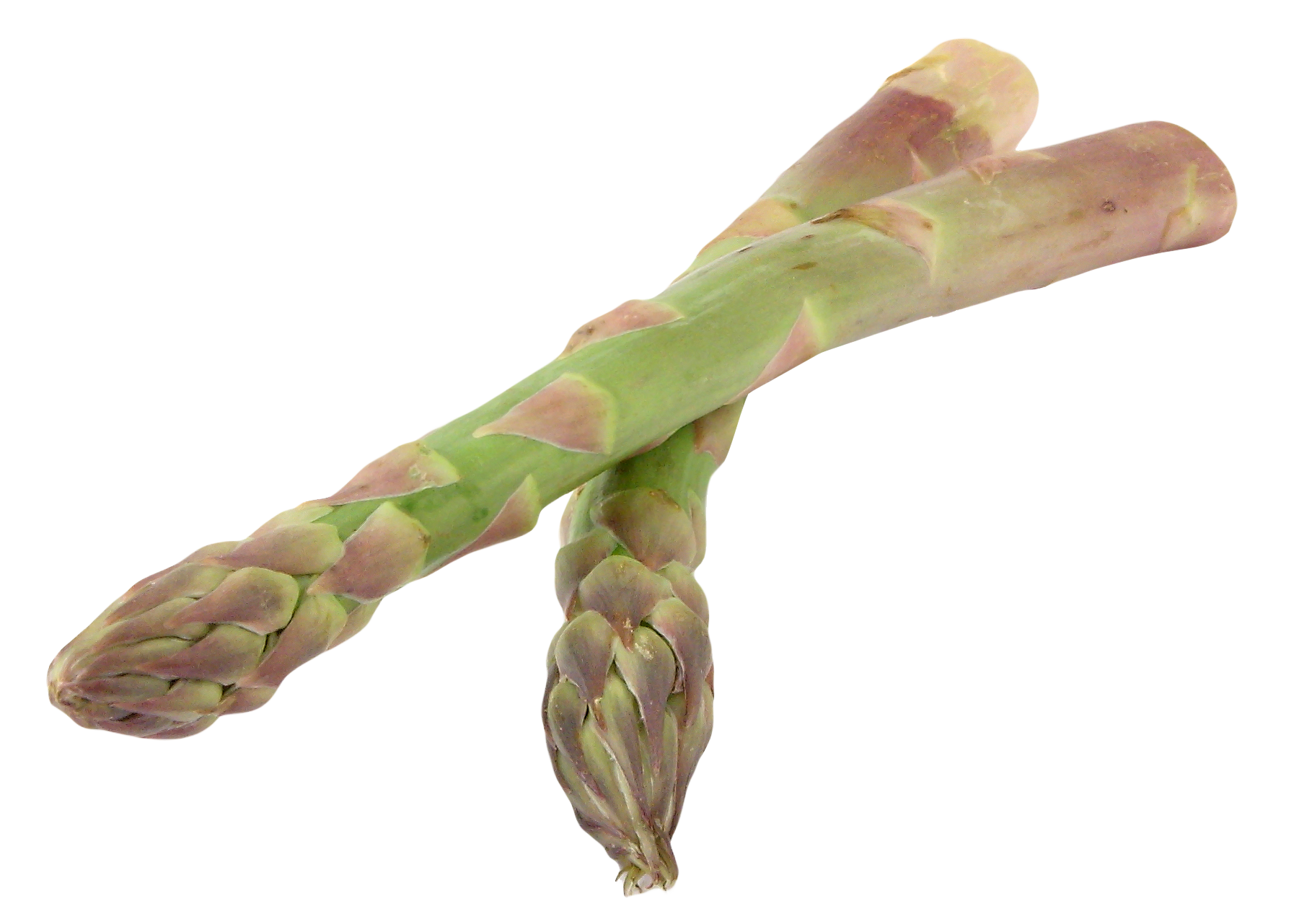 Asparagus Vegetable PNG File