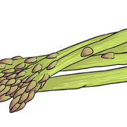 Asparagus Vegetable PNG HD Image