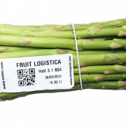 Asparagus Vegetable PNG Image File