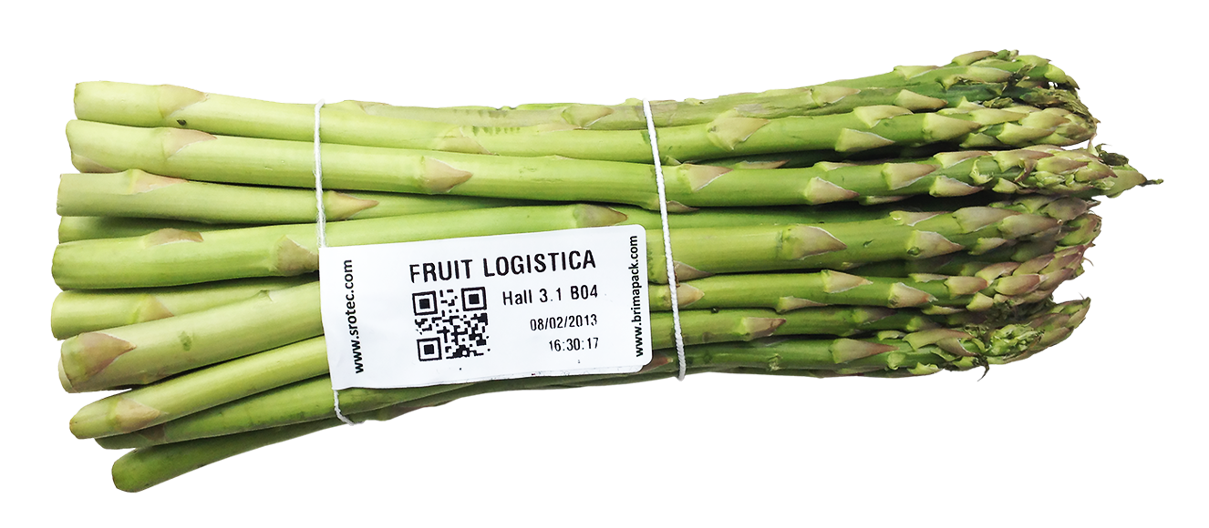 Asparagus Vegetable PNG Image File