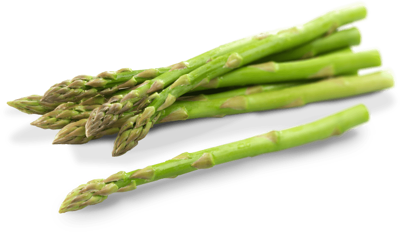 Asparagus Vegetable PNG Photo
