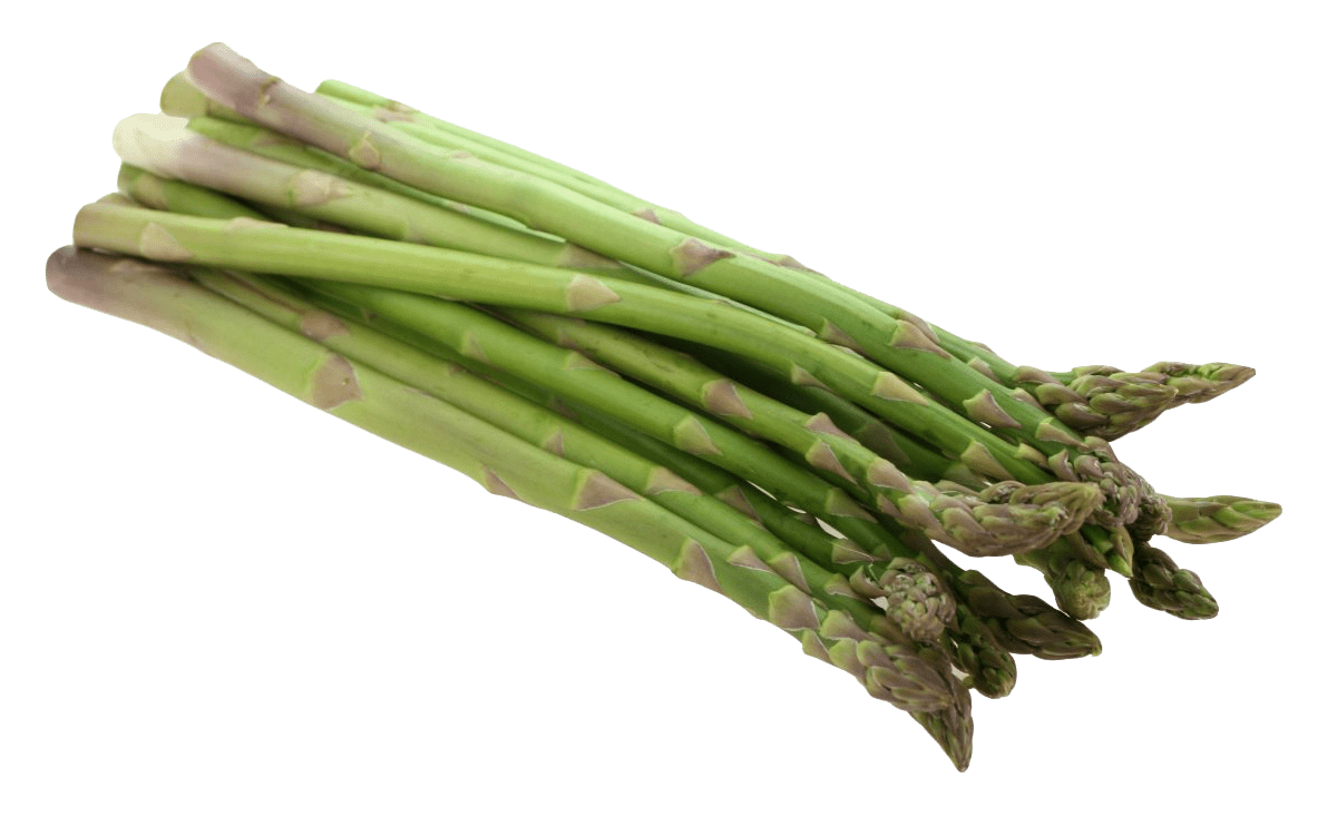 Asparagus Vegetable PNG Photos