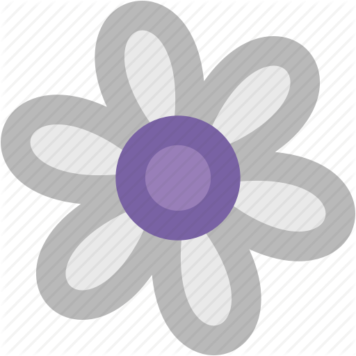 Aster Flower PNG -afbeelding