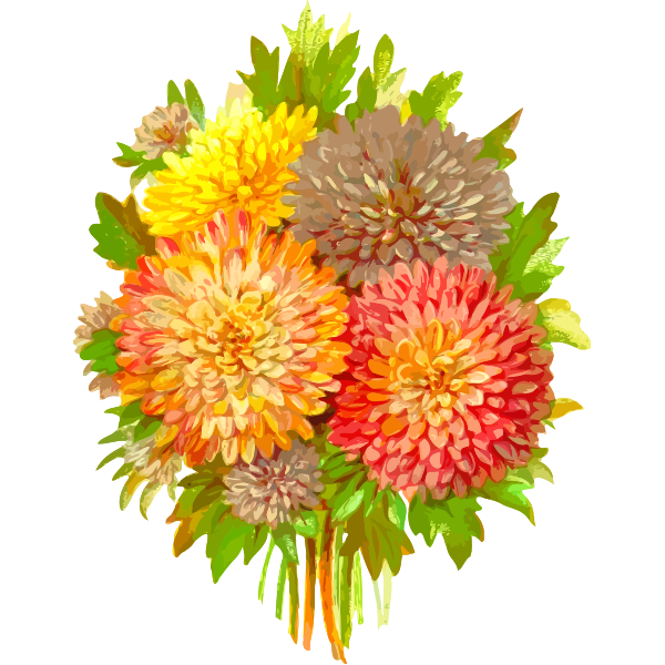 Aster Blume Png