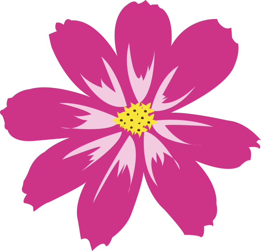 Aster Flower Plant PNG Cutout