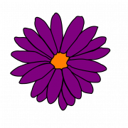 Aster Flower Plant PNG Image