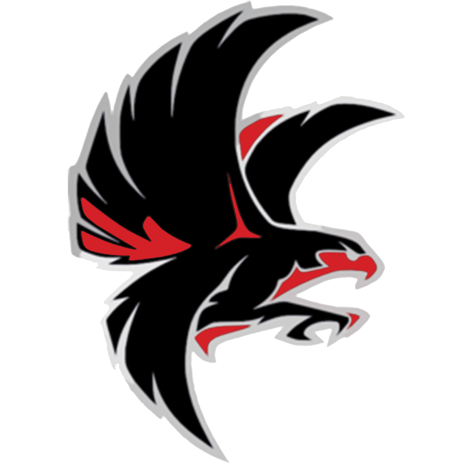 Atlanta Falcons PNG Image File