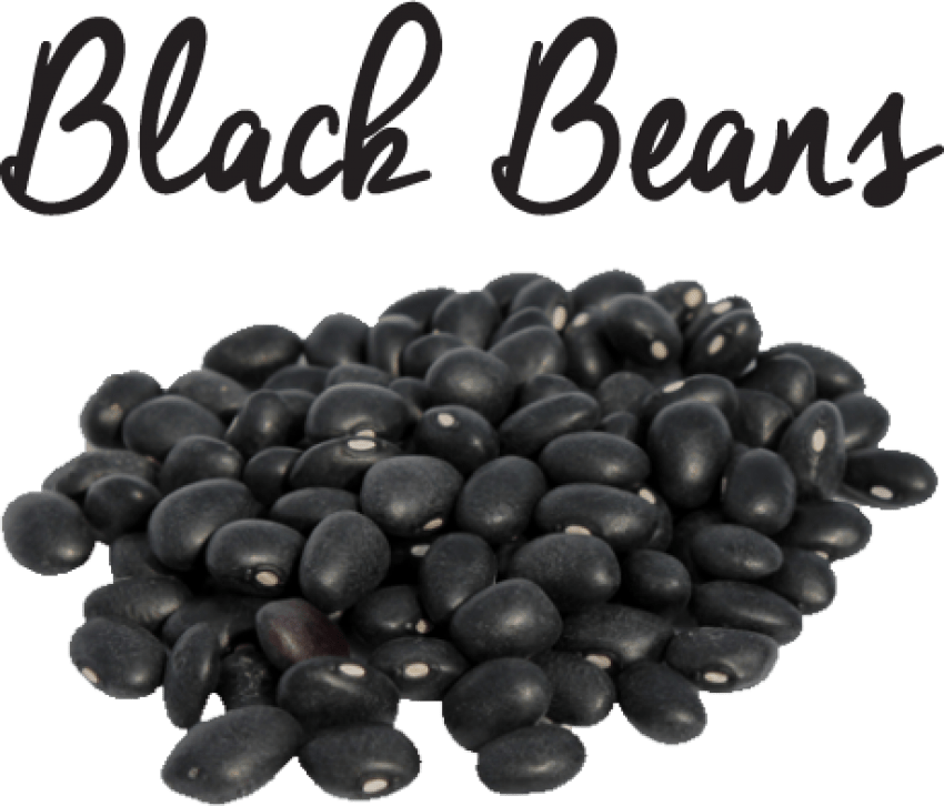 Black Beans No Background