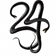 Black Mamba Snake PNG Image