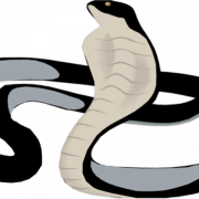 Черная мамба змея PNG фото