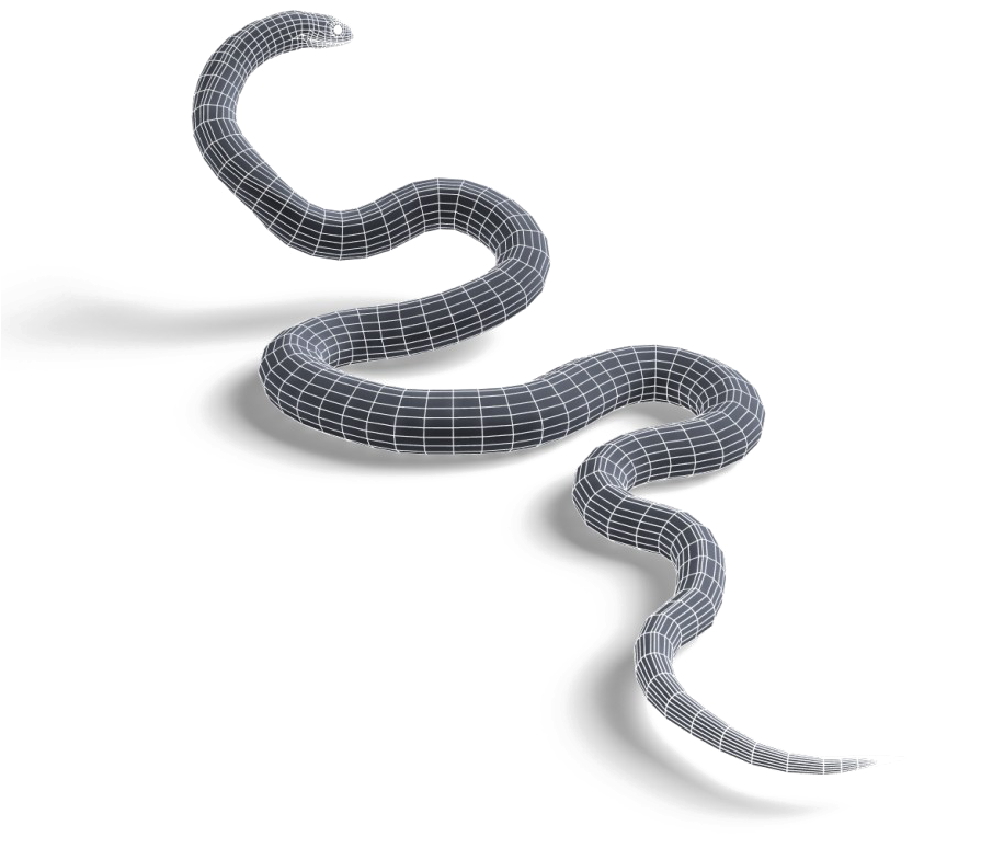 Schwarzer Mamba -Schlangen PNG Bild