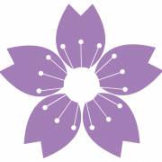 Blossom PNG ritaglio