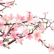 Arquivo de imagem PNG de flores