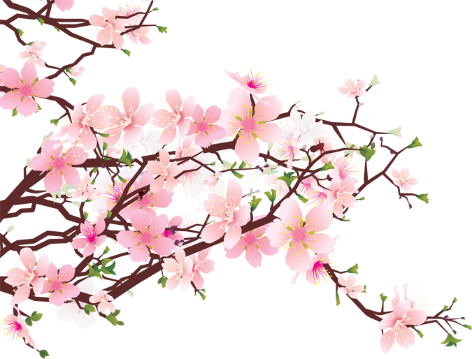Blossom PNG Image File