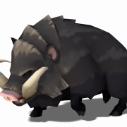 صورة الخنازير البرية PNG
