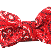 Bowknot PNG -afbeelding
