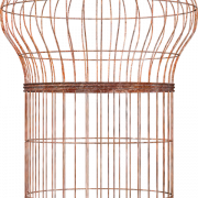 CAGE PNG CUPTOUT
