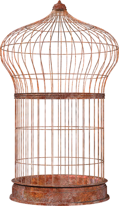 Cage PNG Cutout