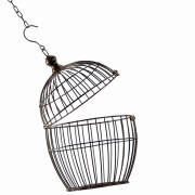 Image png cage