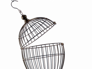 Cage PNG Image