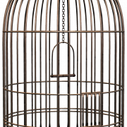 Cage png pic
