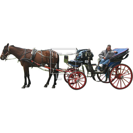 Carriage Transport PNG Image