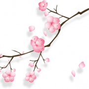 Cherry Blossom PNG HD Image
