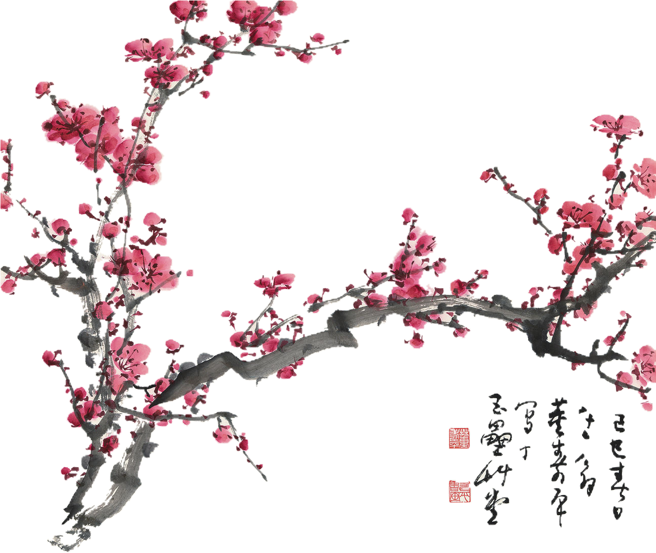 Cherry Blossom PNG Images
