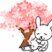 Kiraz çiçeği Sakura png