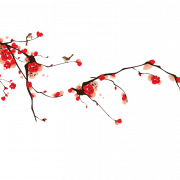 Cherry Blossom Sakura PNG Pic