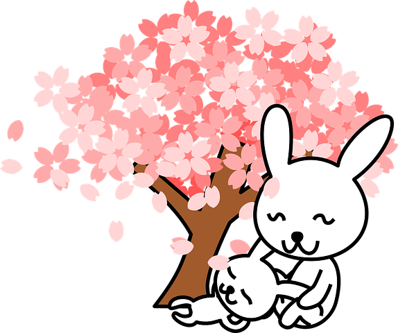 Cherry Blossom Sakura PNG