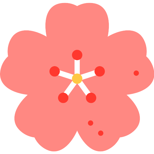 Cherry Blossom Spring PNG Image