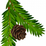 Christmas Conifer Cone Background PNG