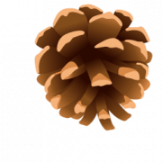 Christmas Conifer Cone PNG HD Image