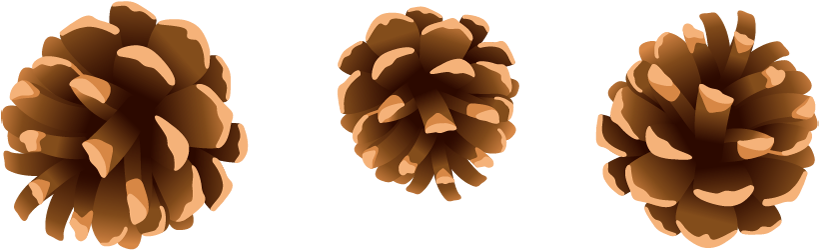 Christmas Conifer Cone PNG HD Image
